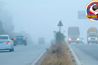 Andhra Pradesh experiences dense fog as IMD issues alert for Guntur, NTR, and Palnadu districts, with low visibility affecting early morning travel and daily activities.